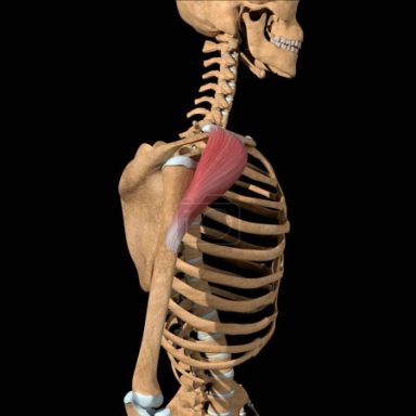 Massage Lernmaterial 9